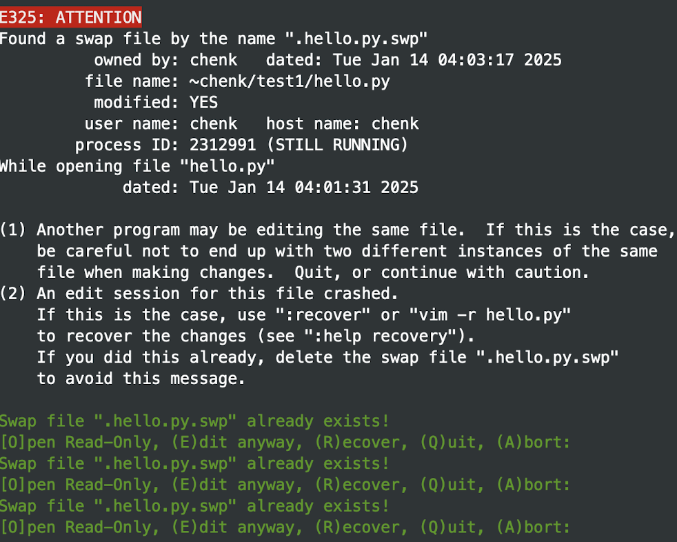 image-20250113231311535